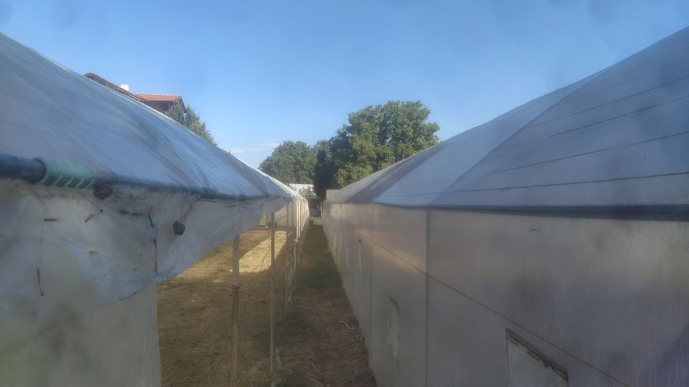 Продавам оранжерии в с. Юнаците