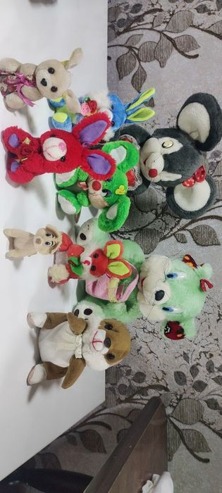 Hammasi holati yahshi