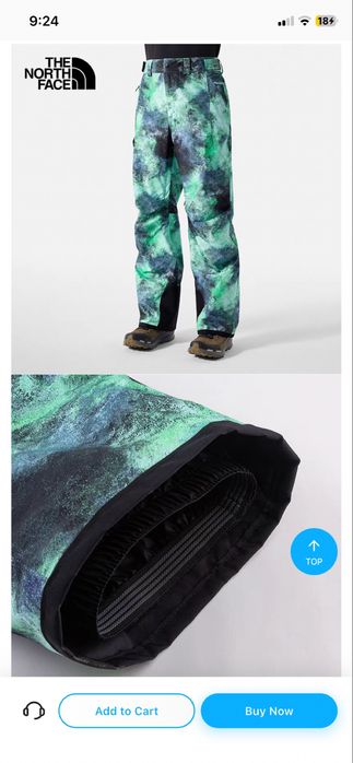 Pantaloni ski the norh face