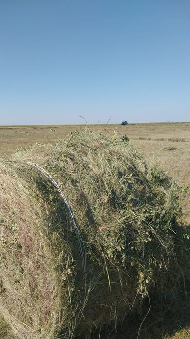 Шөп сатылады пресс145