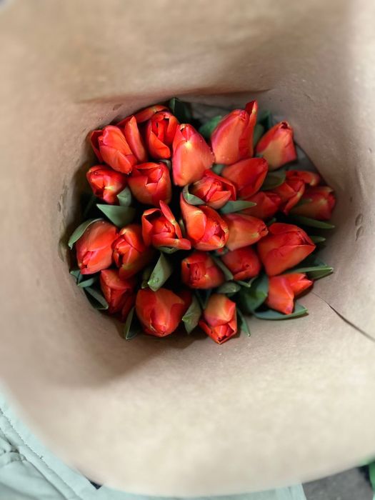 Тюльпаны к 8 марта