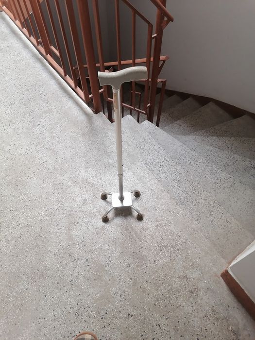 Бастун четириопорен