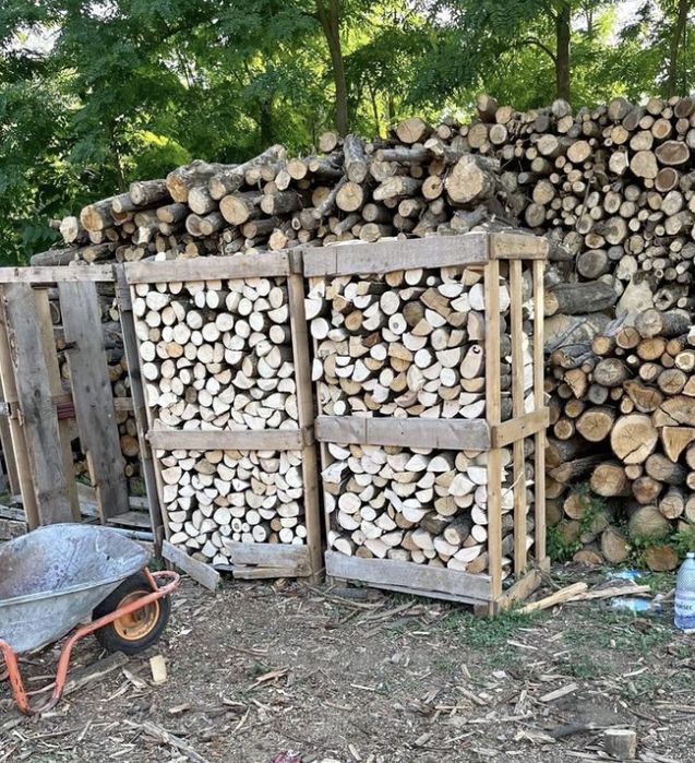 Lemne paletizate esenta tare.