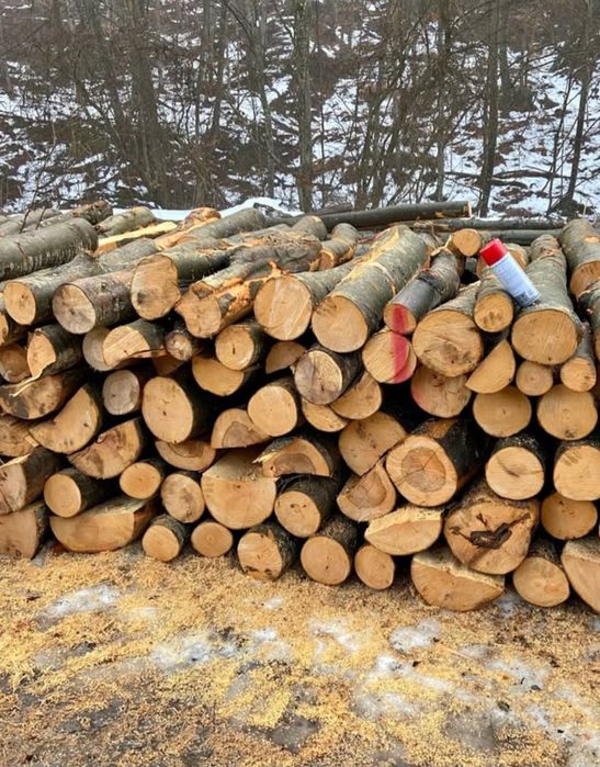 Vand lemne de foc carpen cu fag esenta tare