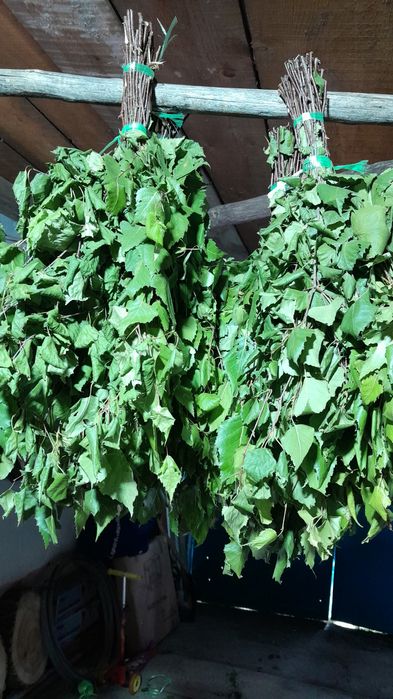 Продам веинек и дуб для баня