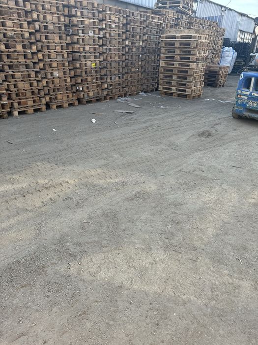 Paleti din lemn euro