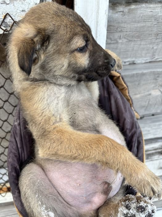 Малыши ищут именно Вас