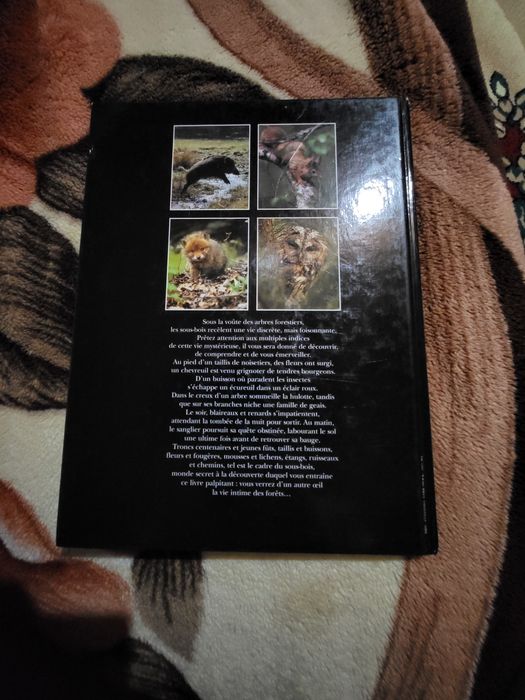 Carte ilustrată „La vie cachée des sous-bois” – Éditions Atlas (2001)