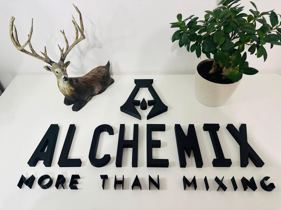 E.M.Gprint 3D cu filament(Fdm) sau rășină(Sla)