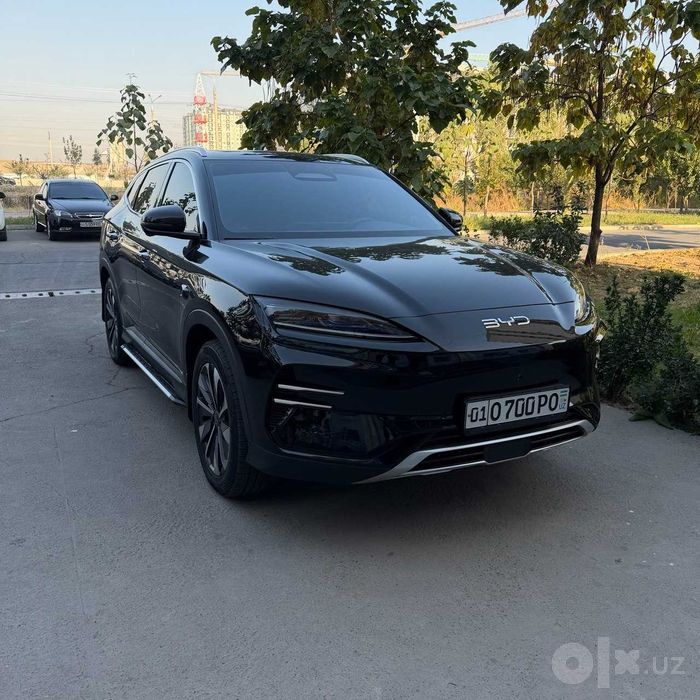 Позитсия BYD Чимпиён смарт