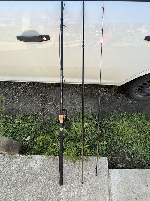 Set Daiwa N’Zoon super slim power carp 3.66/240g