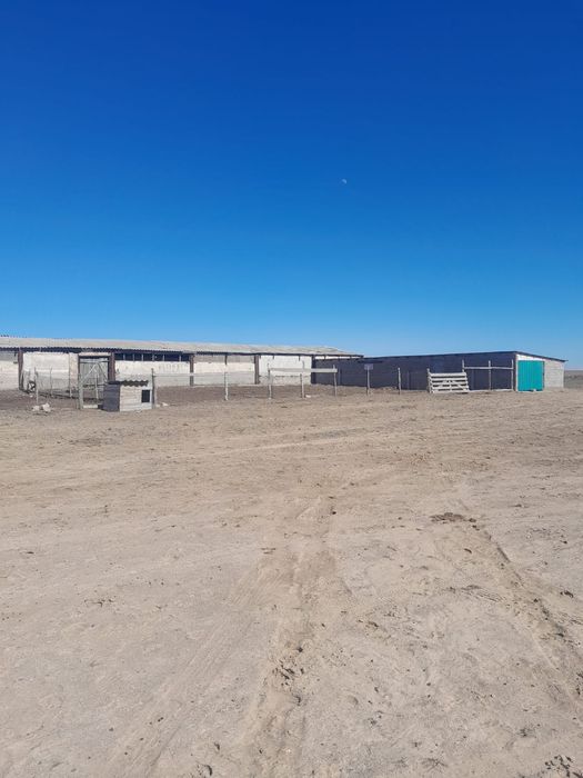 Продается фазенда