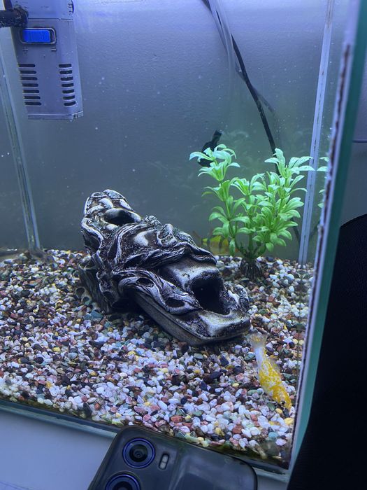 Аквариум 20л с рыбками