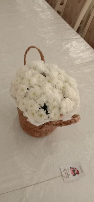 Гүлдер, гүлдер, цветы