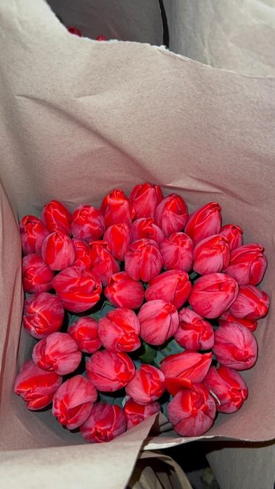 Тюльпаны оптом и в розницу