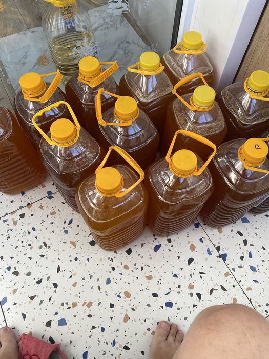 Продам мёд Урджарский