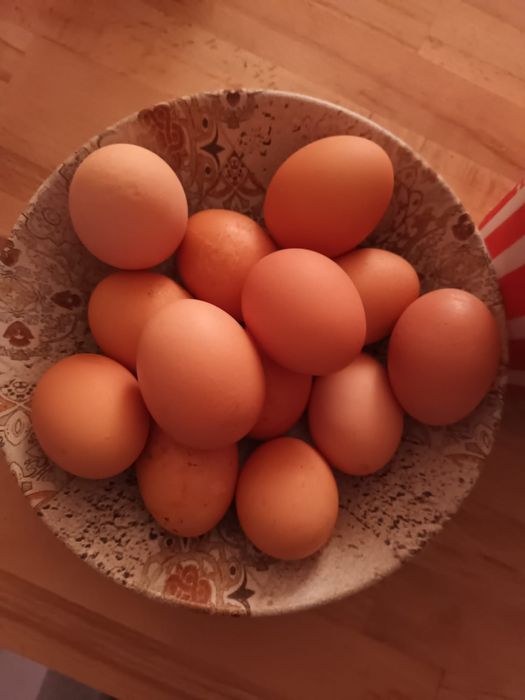 Vând ouă de găină de țară