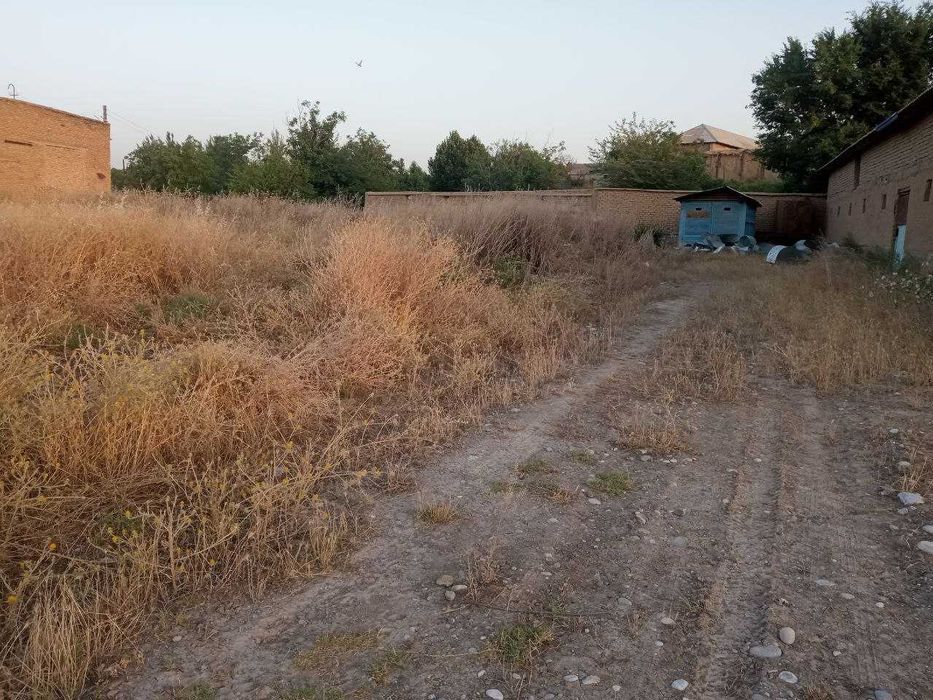 Чорва комплекси сотилади.