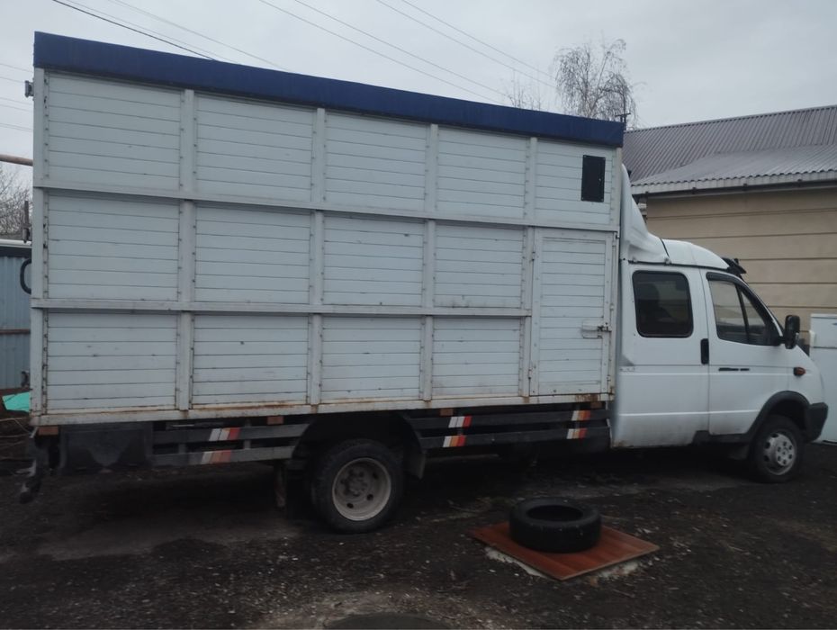 Продаю газель фермер