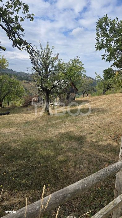 Teren de vanzare 8.300 mp Plesi Loman judetul Alba