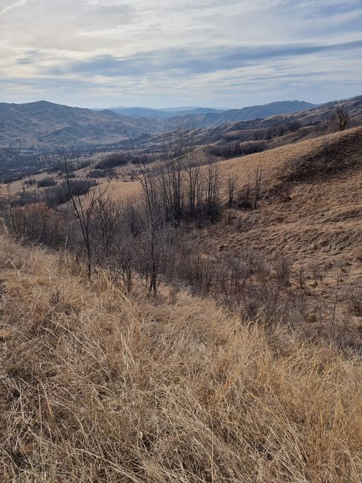 Teren vânzare Vintila Vodă Cimpulungeanca de Jos
