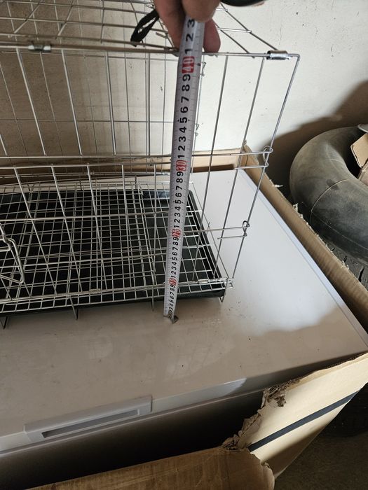 Голуби в удобстве