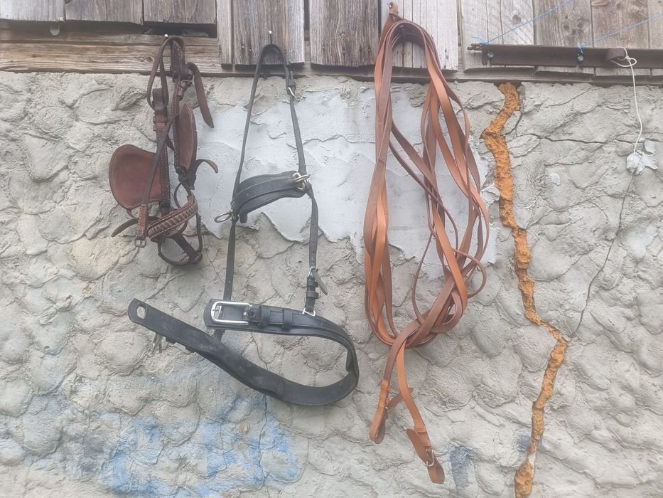 Căpăstru,gura-de -ham și hățuri
