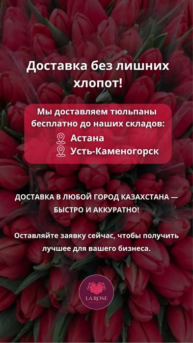 Ранняя бронь тюльпанов ОПТОМ