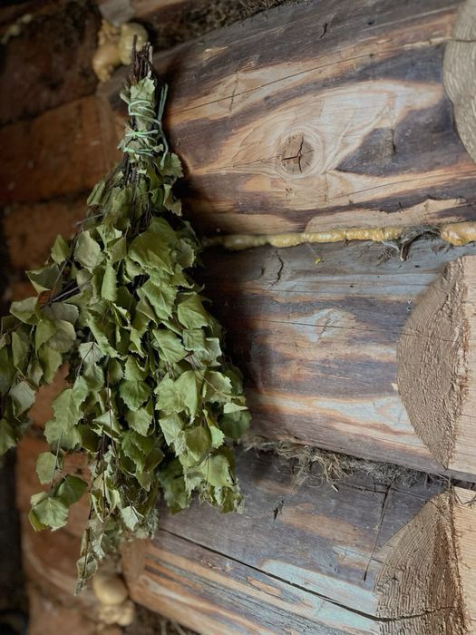 Банный веник березовый