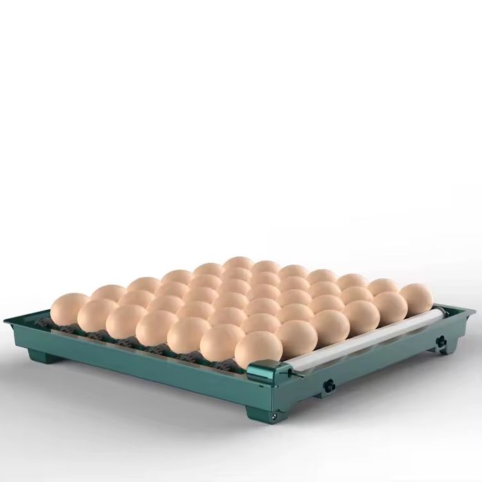 Инкубатор для яиц Уминца от 9 яиц до 256 яиц