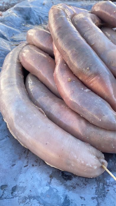 Қазы казы шұжық конина оригинал қазы жылқы еті домашняя казы шужук