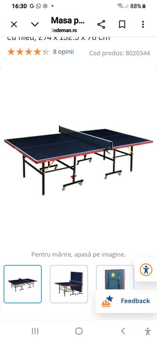 Masă de ping pong interior