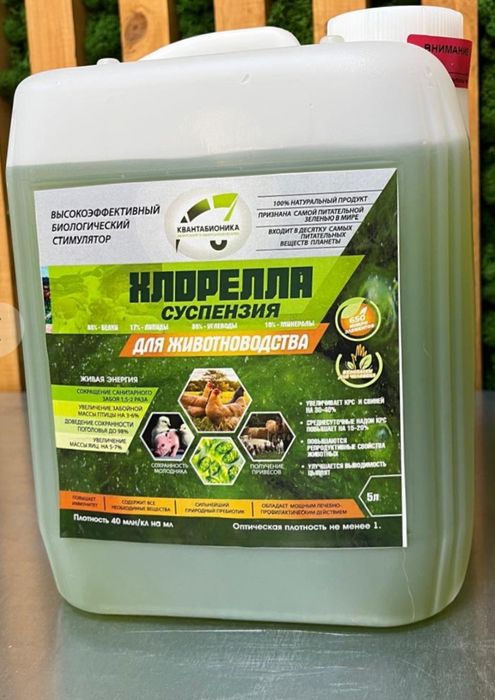 Хлорелла в животноводстве