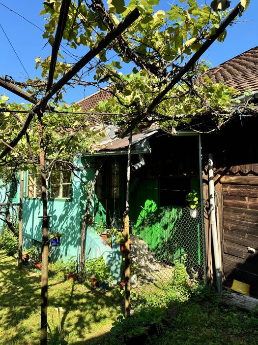 Casa de vanzare Gura Raului
