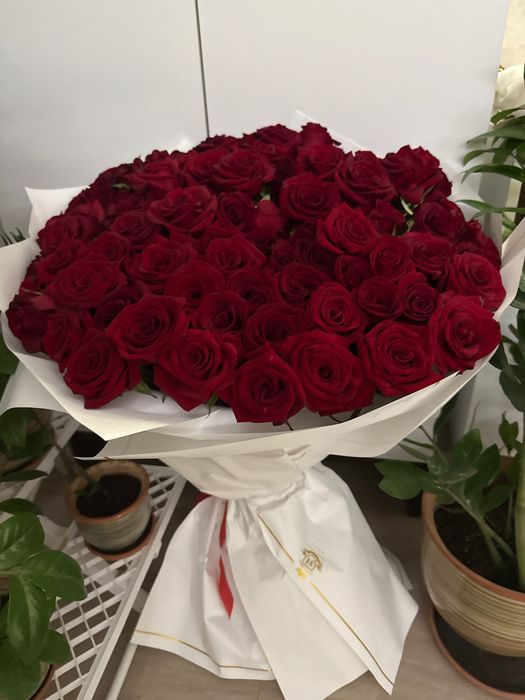 Букет из красных роз 101 роза