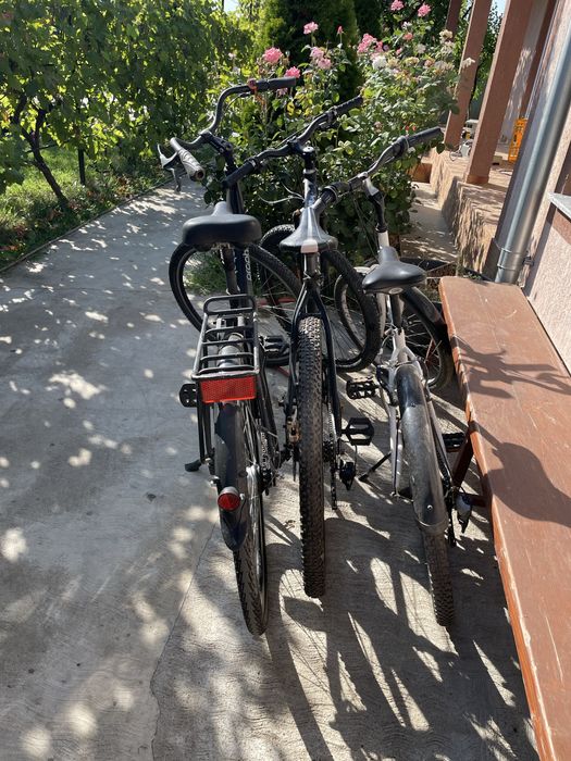 Biciclete de vanzare