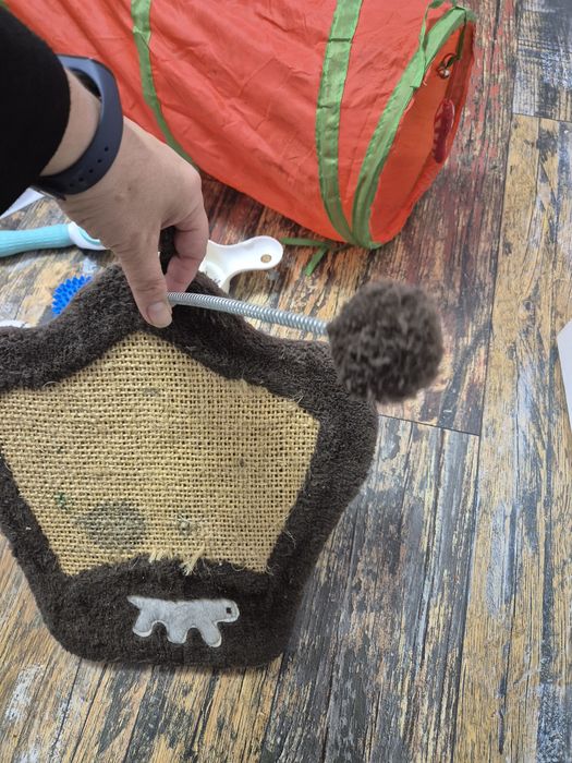 Lot mare accesorii pt pisici