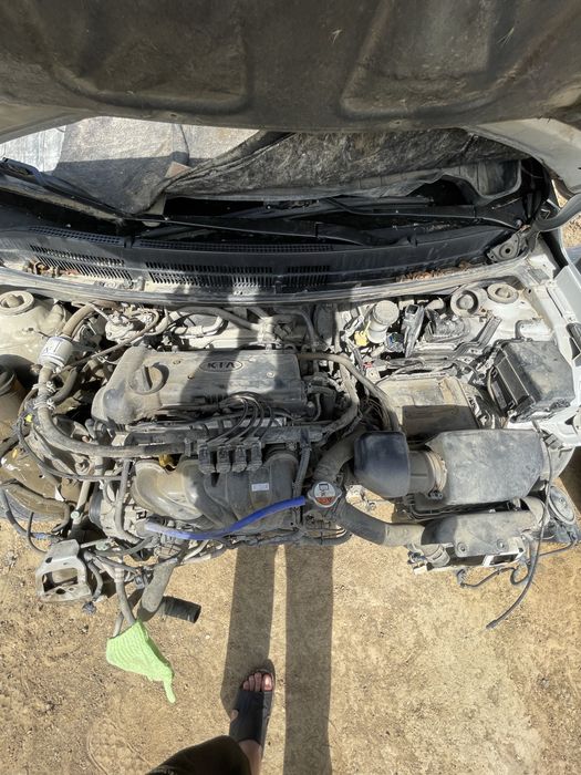 Kia rio на разбор