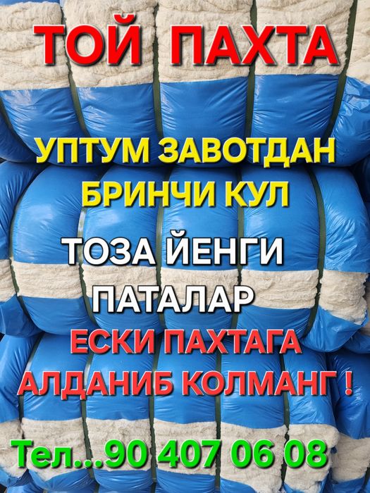 Paxta Toy Oppoq Va yumshoq Yengi paxtalar