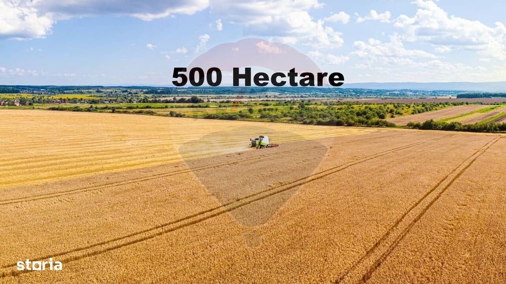 Teren 500 h plus 1000h arenda Vrancea