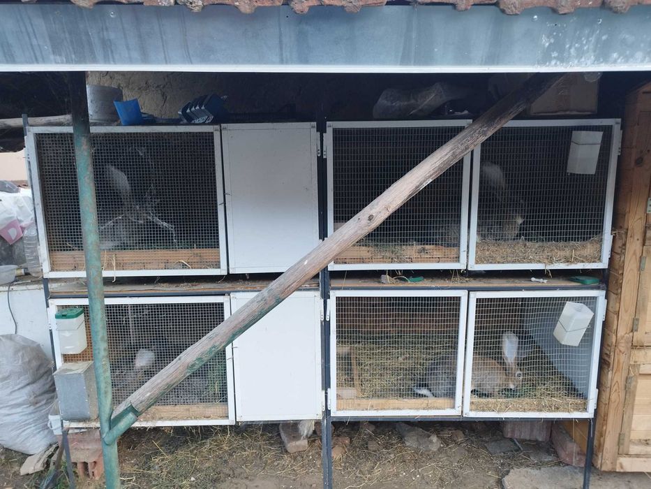 Зайчарници клетки за зайци