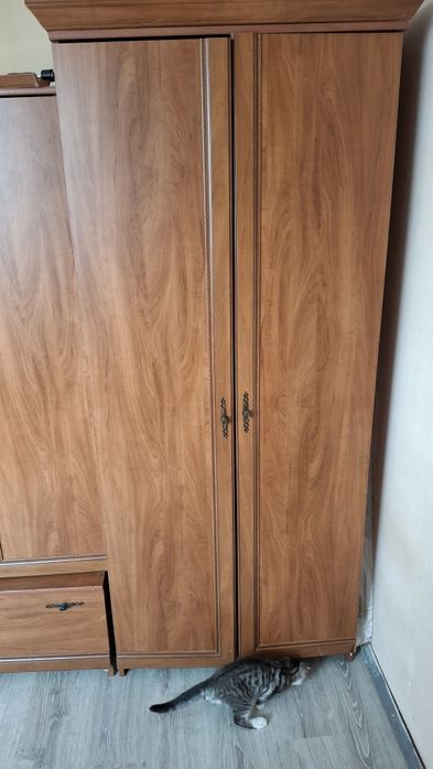 Шкаф в гостиную, спальню