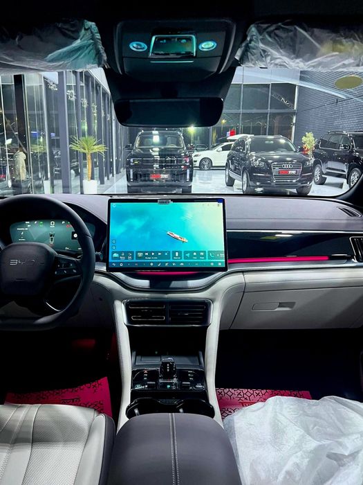 BYD champion 2025 SMART+