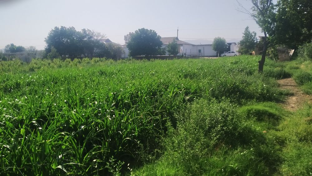 Уй сотилади 32 сотох ер майдони бор, Музработ туманида