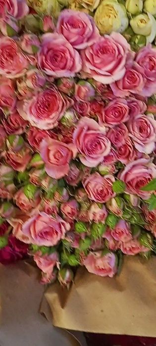 Росе цветы оптом