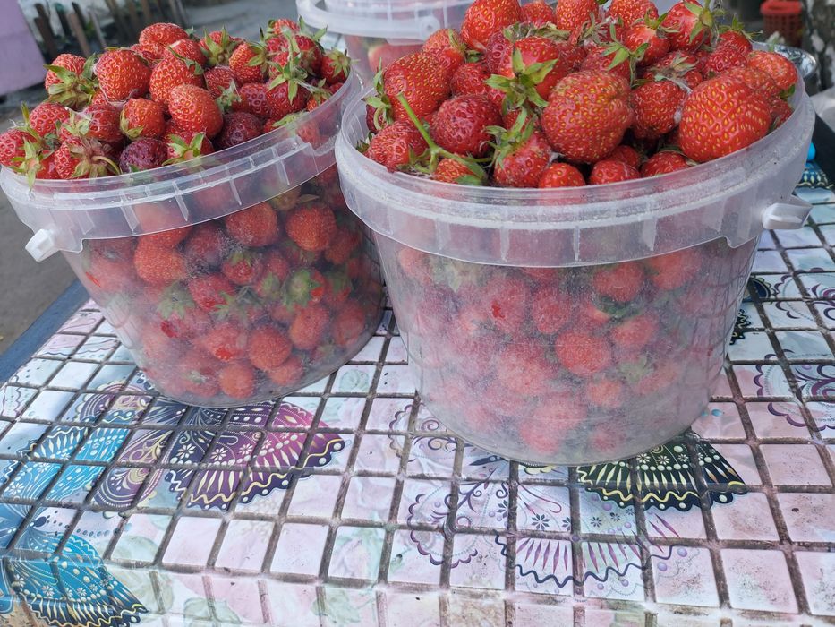 Продам клубнику  Затобольск