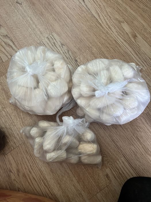 Курттар ащы