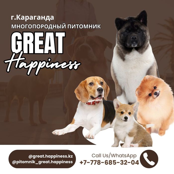 Многопородный питомник предлагает щенков разных пород