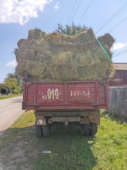 Продажа сено Тюки самовывоз