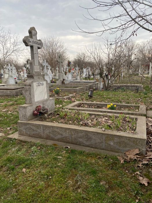 Vand loc de veci - Cimitirul Pantelimon 2
